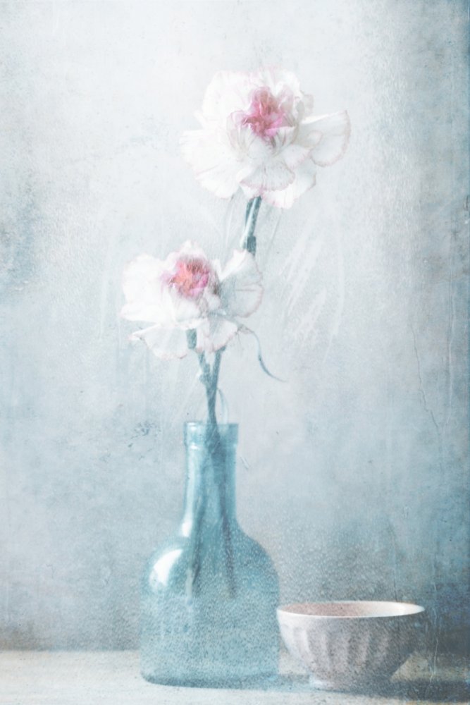 Dreamy Floral Still Life by Delphine Devos
