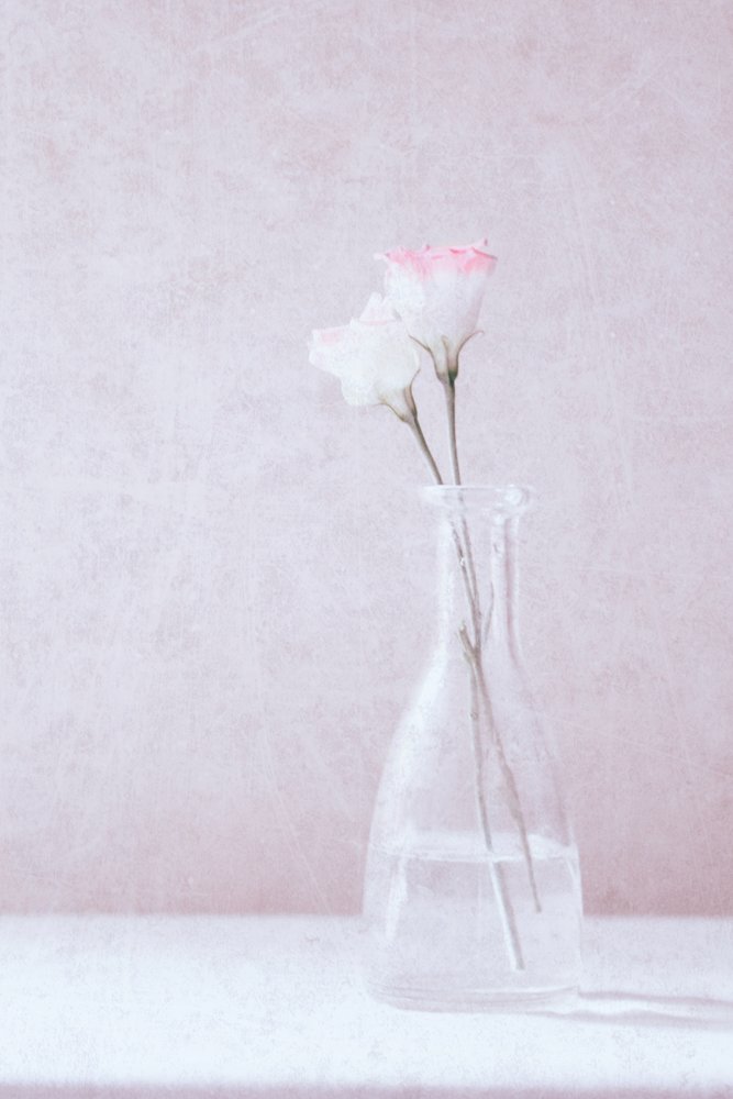 Flowers in Love by Delphine Devos