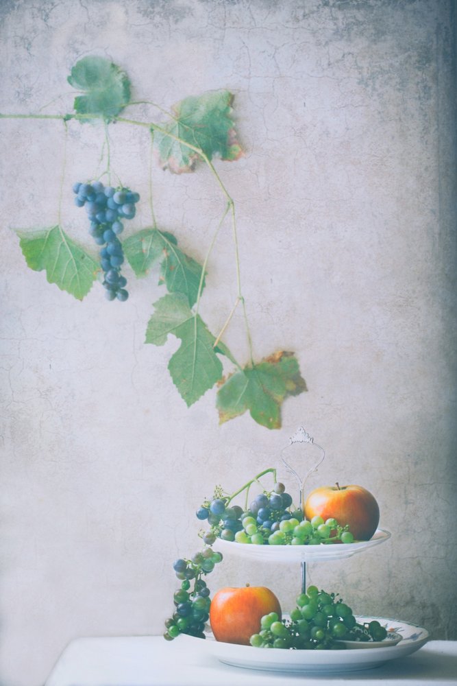 Harvest Fruit Still Life by Delphine Devos