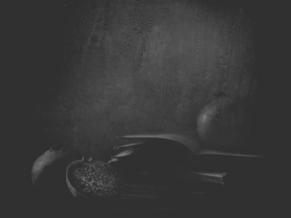 Pomegranates in Shadow by Delphine Devos