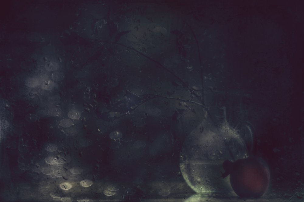 Rainy Window Still Life by Delphine Devos