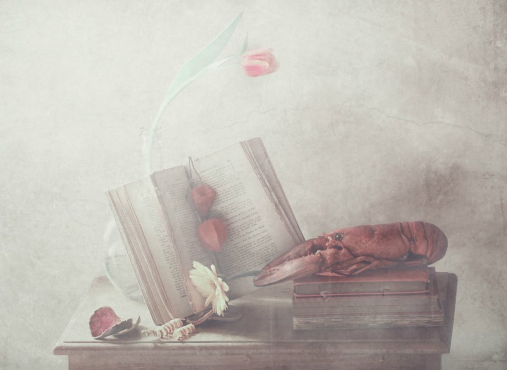 Red Lobster Still Life by Delphine Devos