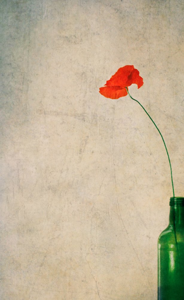 Rustic Poppy And Bottle by Delphine Devos