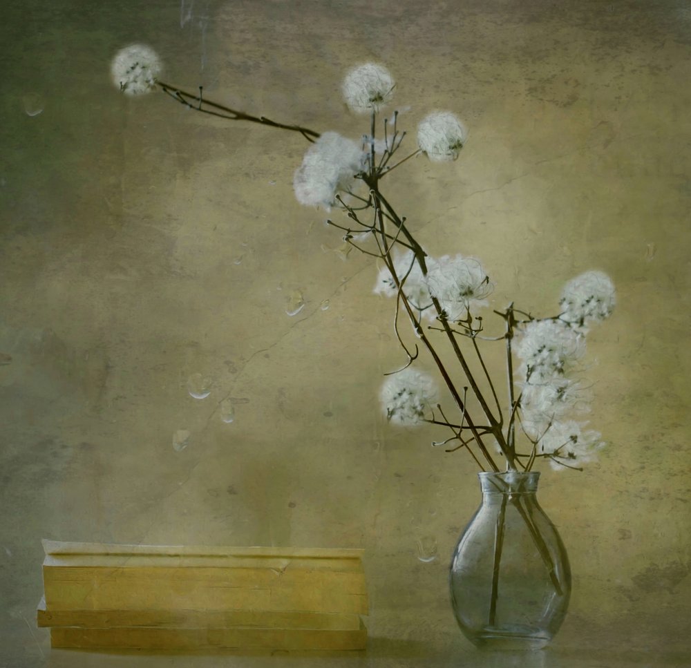 Serene Fluffy Flowers by Delphine Devos