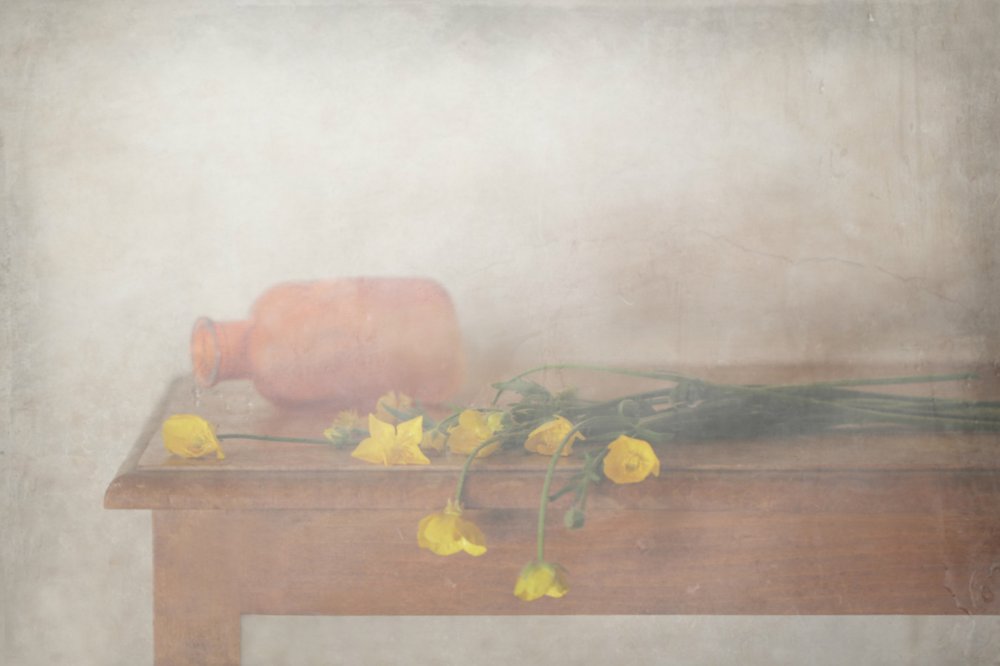 Soft Yellow Still Life by Delphine Devos