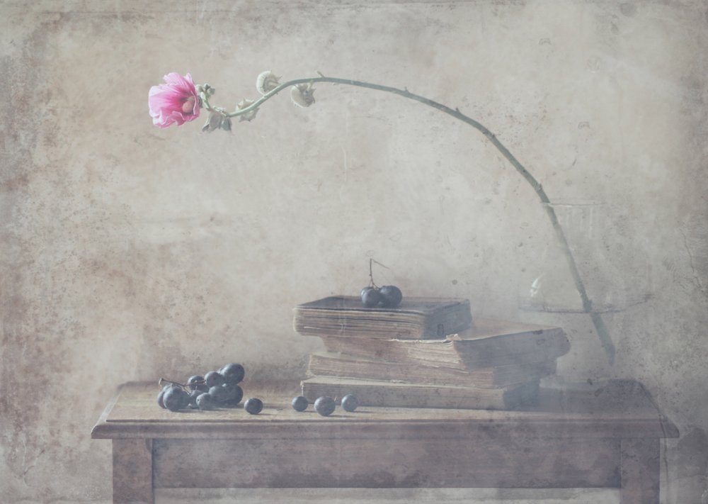 Vintage Books and Bloom by Delphine Devos