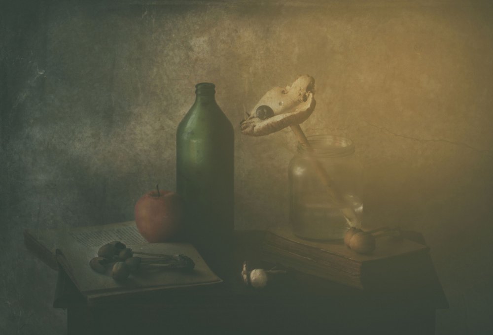 Vintage Still Life Tabletop by Delphine Devos
