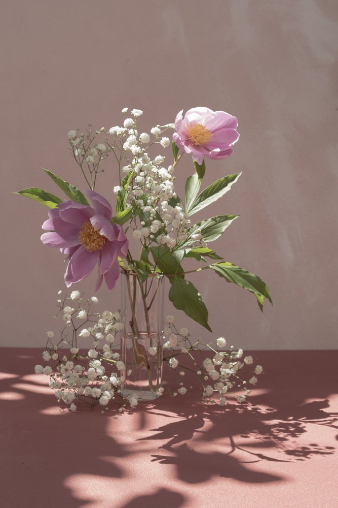 Pink Peonies in Soft Light by Donatella Basso