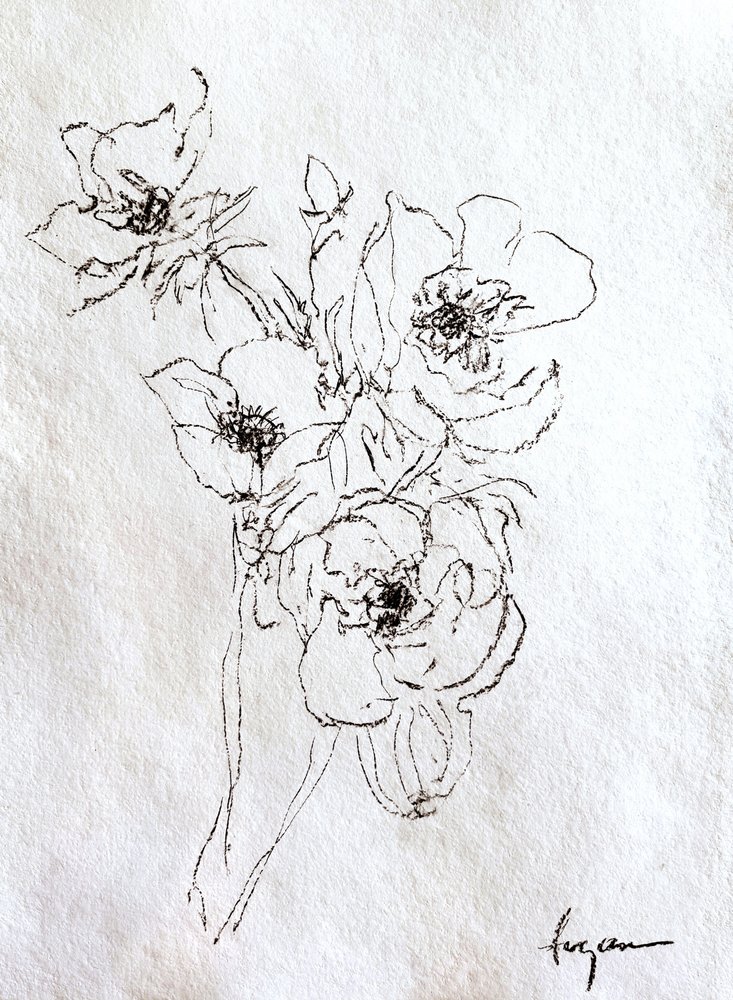 Delicate Floral Drawing by Dorothy Fagan