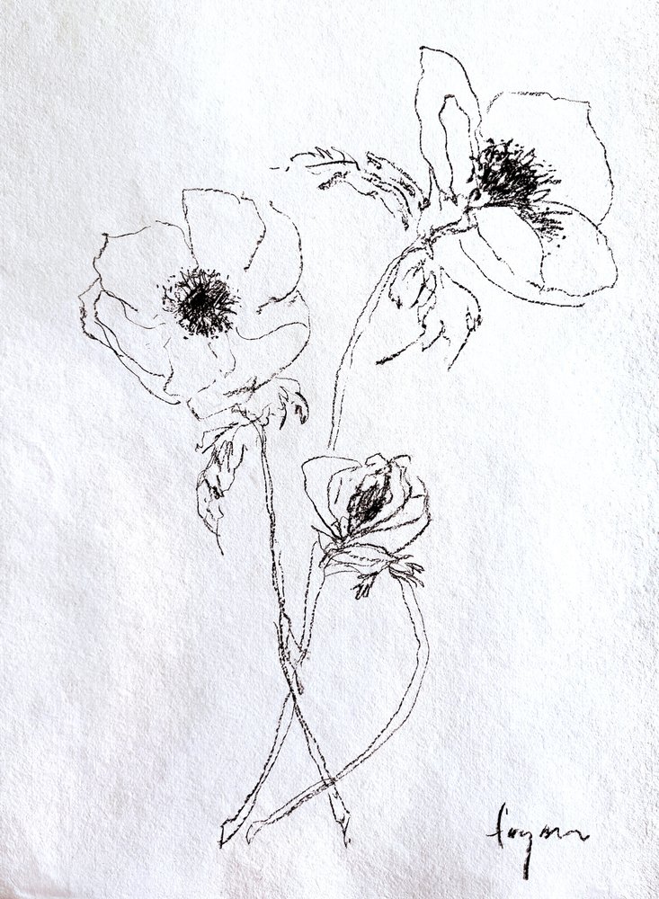 Delicate Flower Sketch by Dorothy Fagan