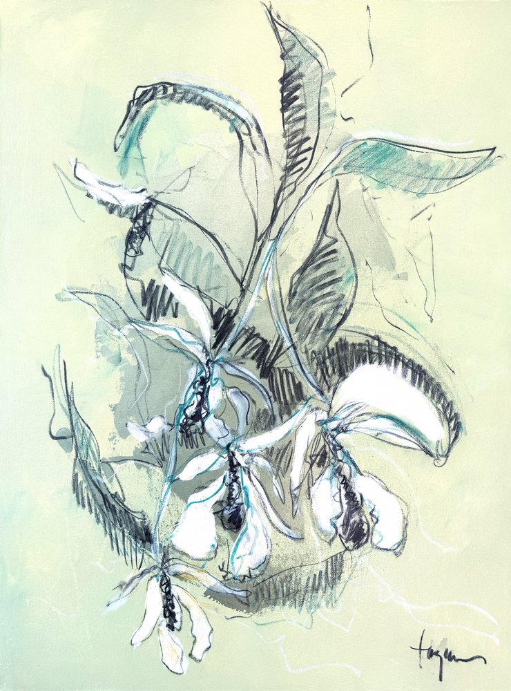 Delicate Orchid Sketch by Dorothy Fagan