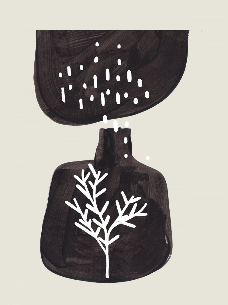 Nourishing Seed Growth by Ejaaz Haniff