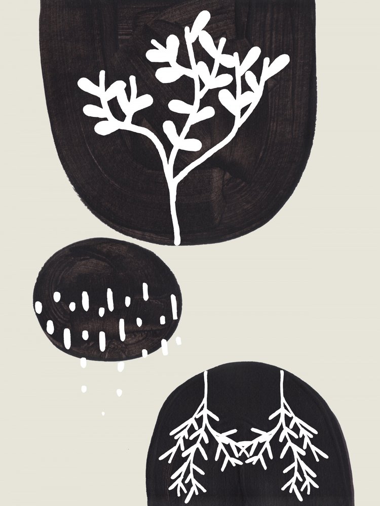 Organic Botanical Forms by Ejaaz Haniff