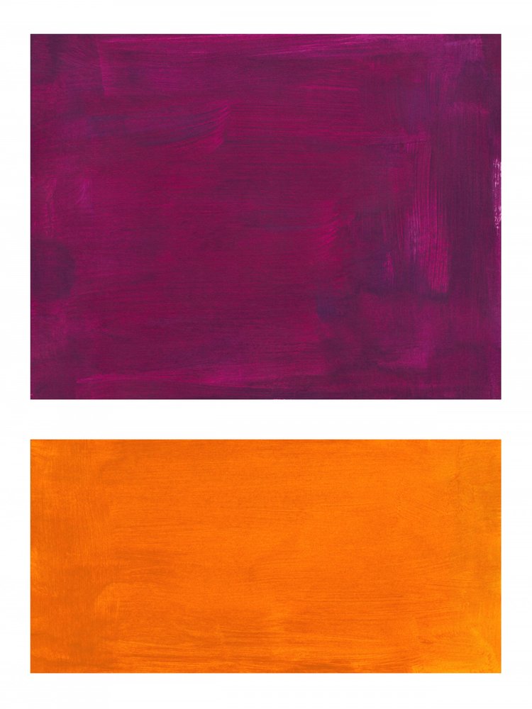 Vibrant Purple Orange by Ejaaz Haniff