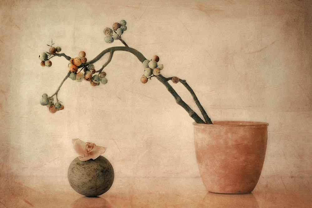 Earthy Berries and Orchid by Elena Arjona