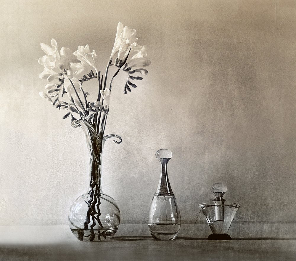 Elegant Flowers and Perfume by Elena Arjona