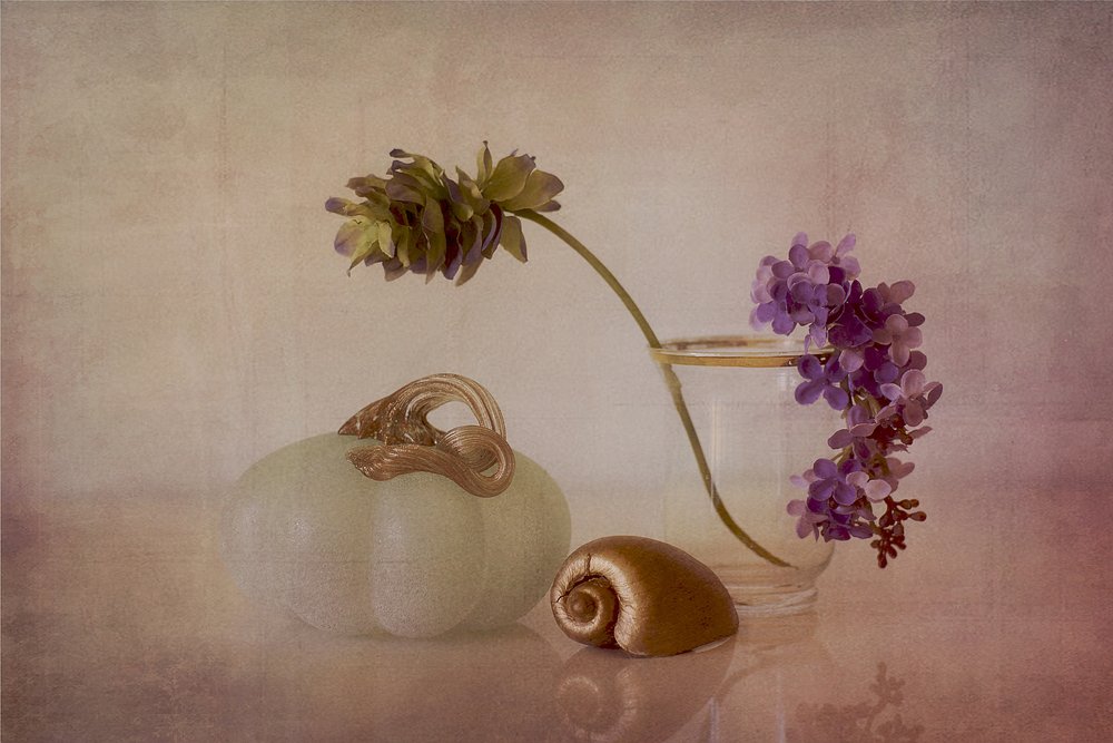 Gentle Pumpkin Still Life by Elena Arjona