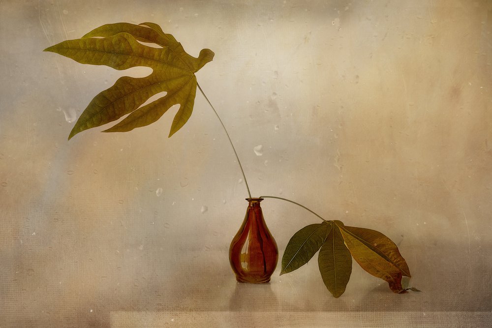 Golden Leaf Still Life by Elena Arjona
