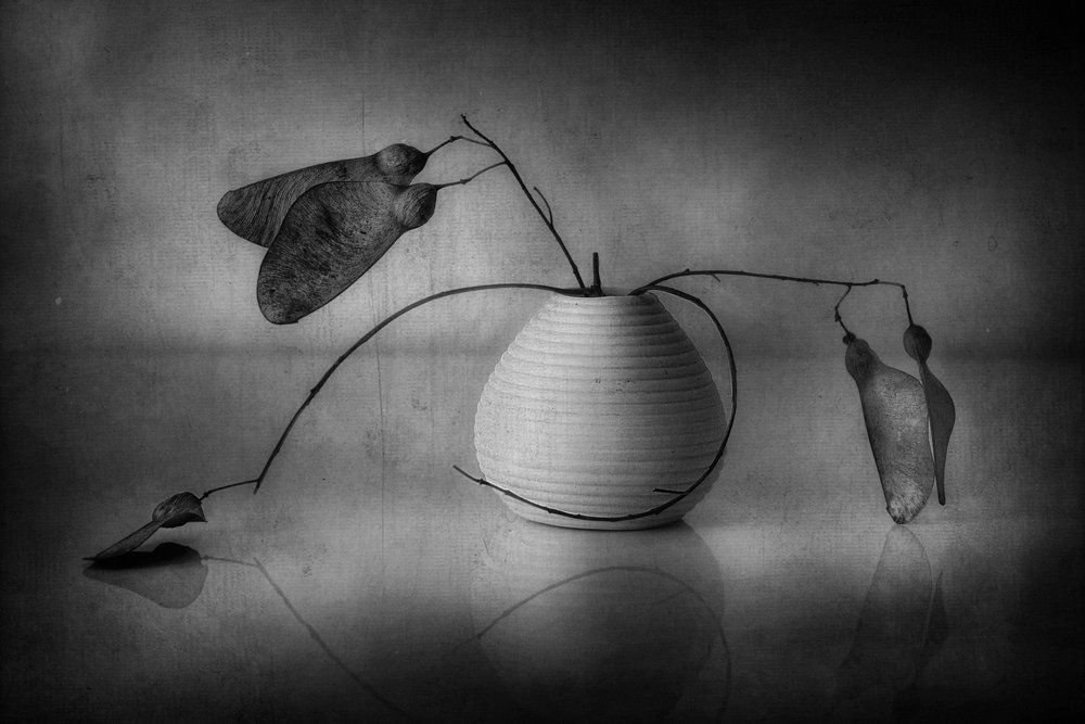 Minimalist Botanical Still Life by Elena Arjona
