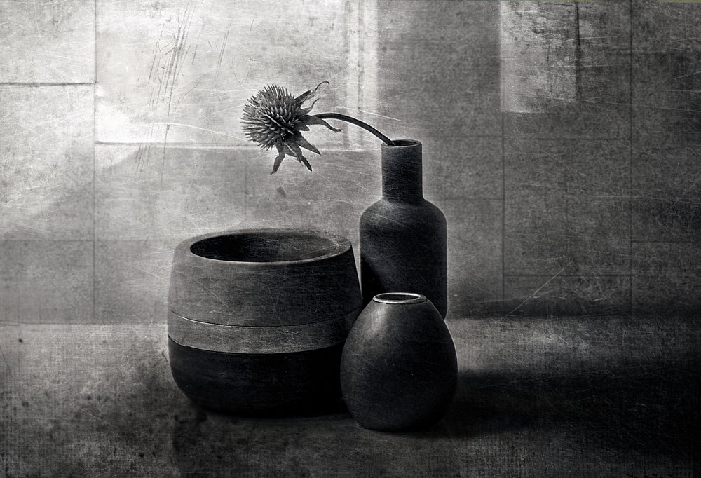 Moody Thistle Vessels by Elena Arjona