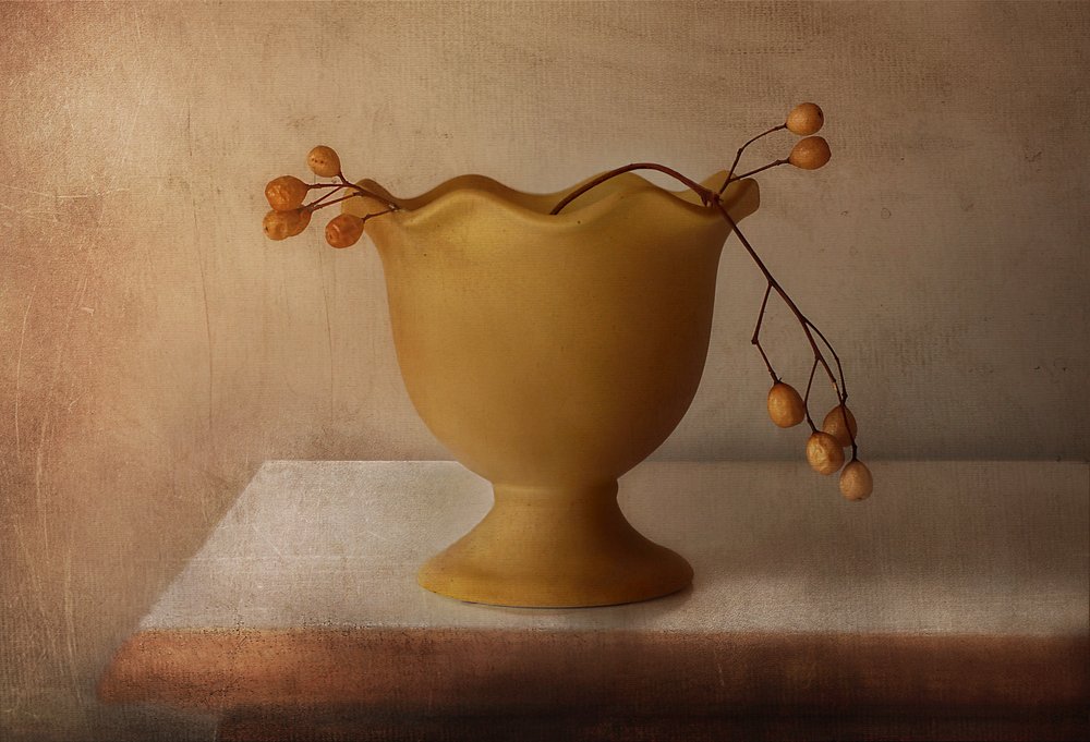 Rustic Berries Still Life by Elena Arjona