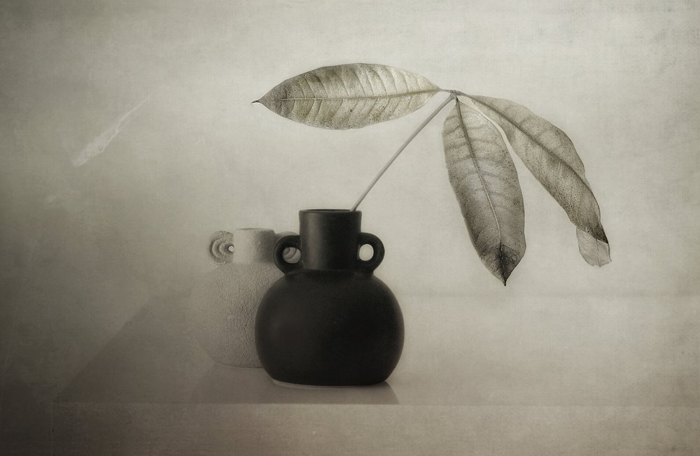 Serene Botanical Still Life by Elena Arjona