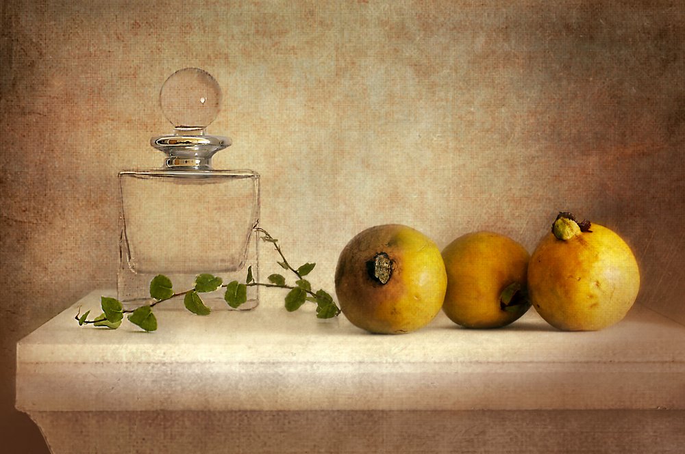 Vintage Guava Still Life by Elena Arjona