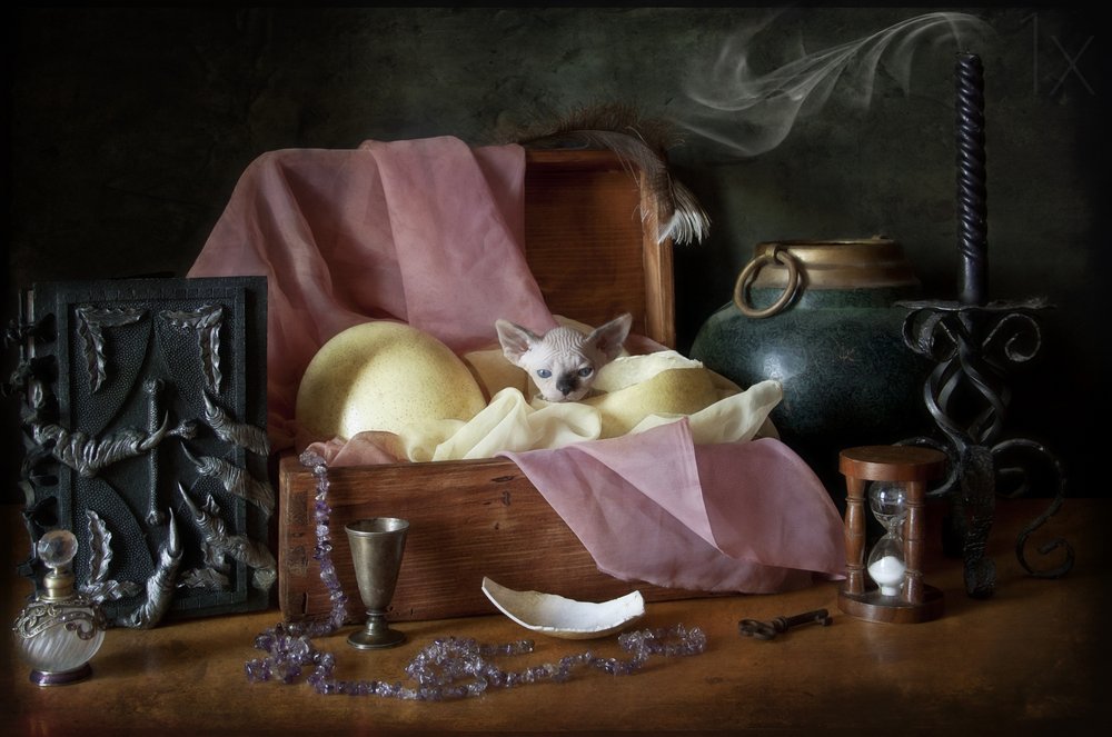 Mystical Kitten