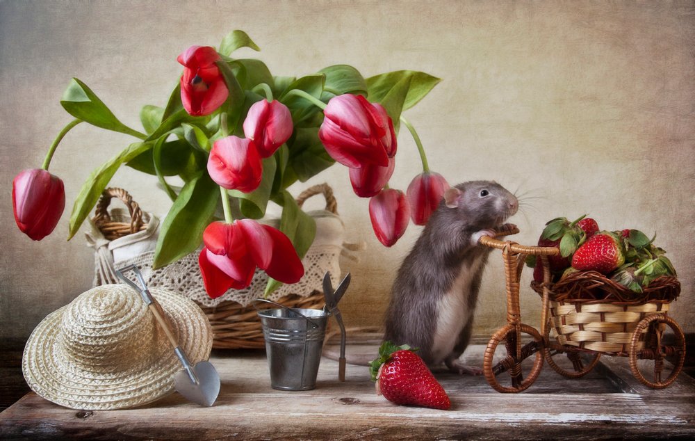 Whimsical Garden Rat by Eleonora Grigorjeva