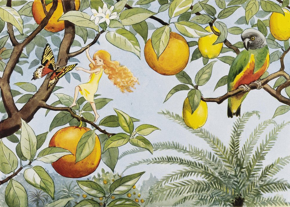The Sun Egg (1932) - The Sun Land by Elsa Beskow
