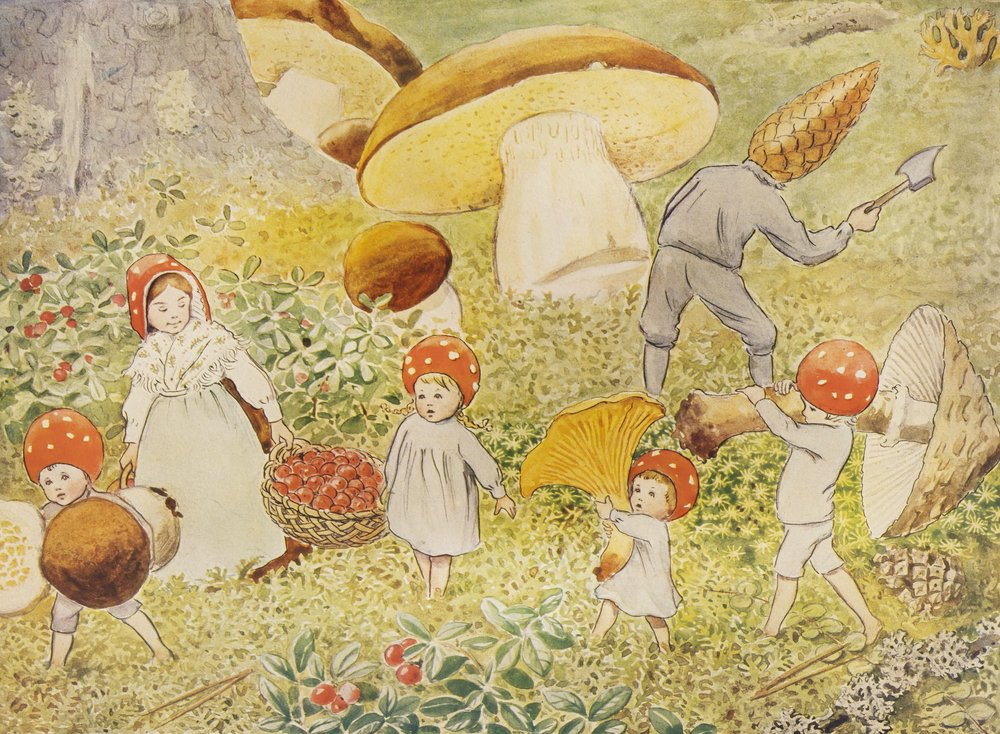 The Children of the Forest - Mushroom Kids by Elsa Beskow
