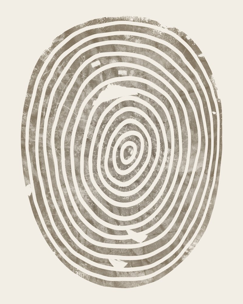 Abstract Tree Ring Pattern by Ema Paraschiv