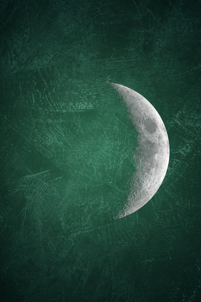 Dark Green Crescent Moon by Ema Paraschiv
