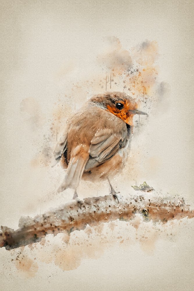 Gentle Watercolor Robin by Ema Paraschiv