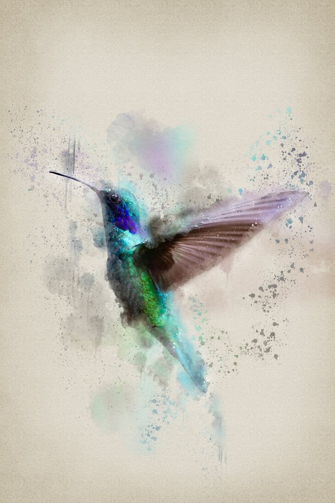 Vibrant Watercolor Hummingbird by Ema Paraschiv