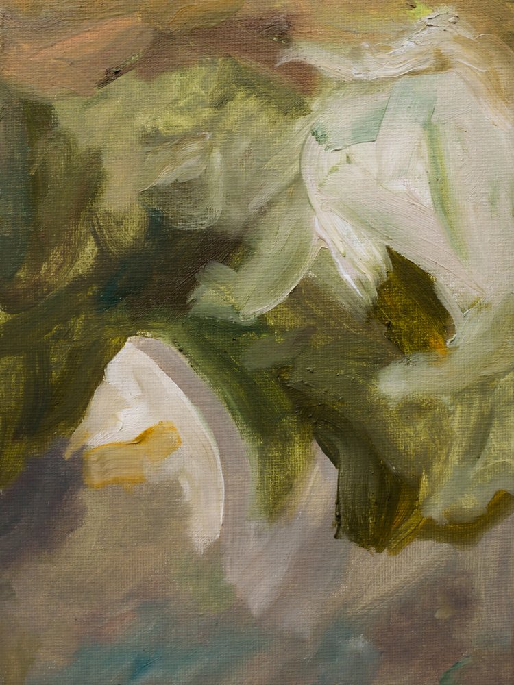 Soft White Petals by Emily Tingey