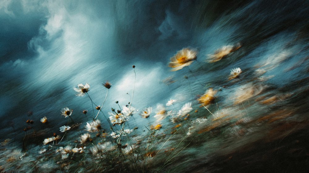 Stormy Wildflowers by Erkan Camlilar