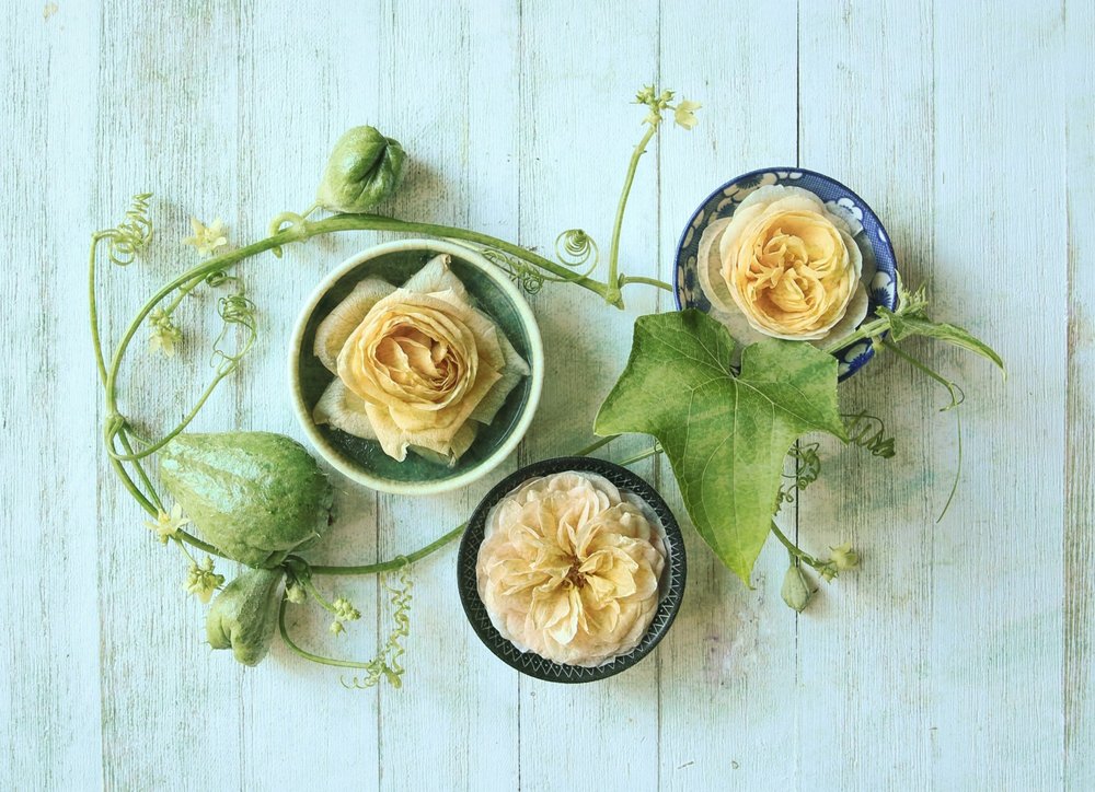 Pastel Roses Gourds by Fangping Zhou