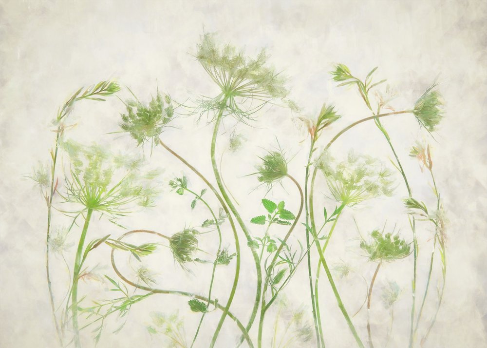 Soft Green Botanicals by Fangping Zhou