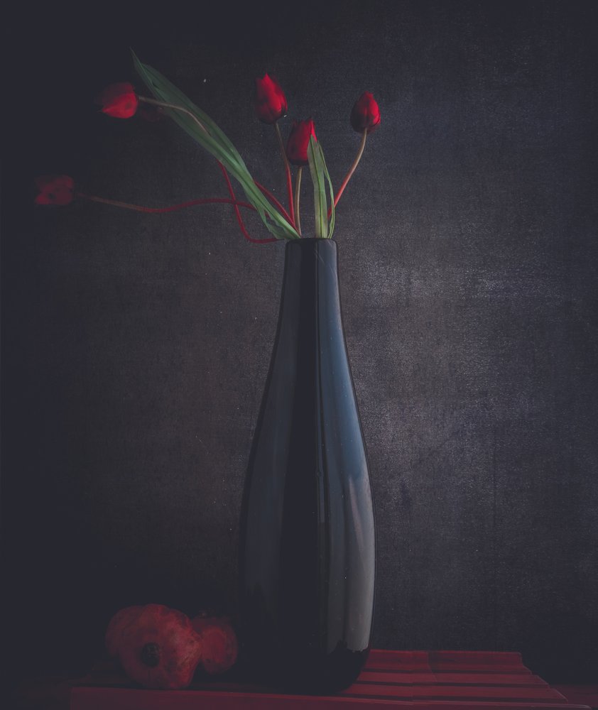 Elegant Red Tulips by Farid Kazamil