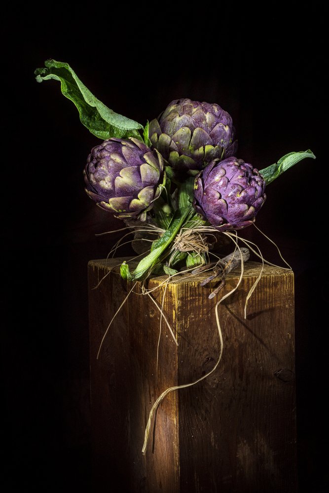 Elegant Purple Artichokes by Felice Angelino
