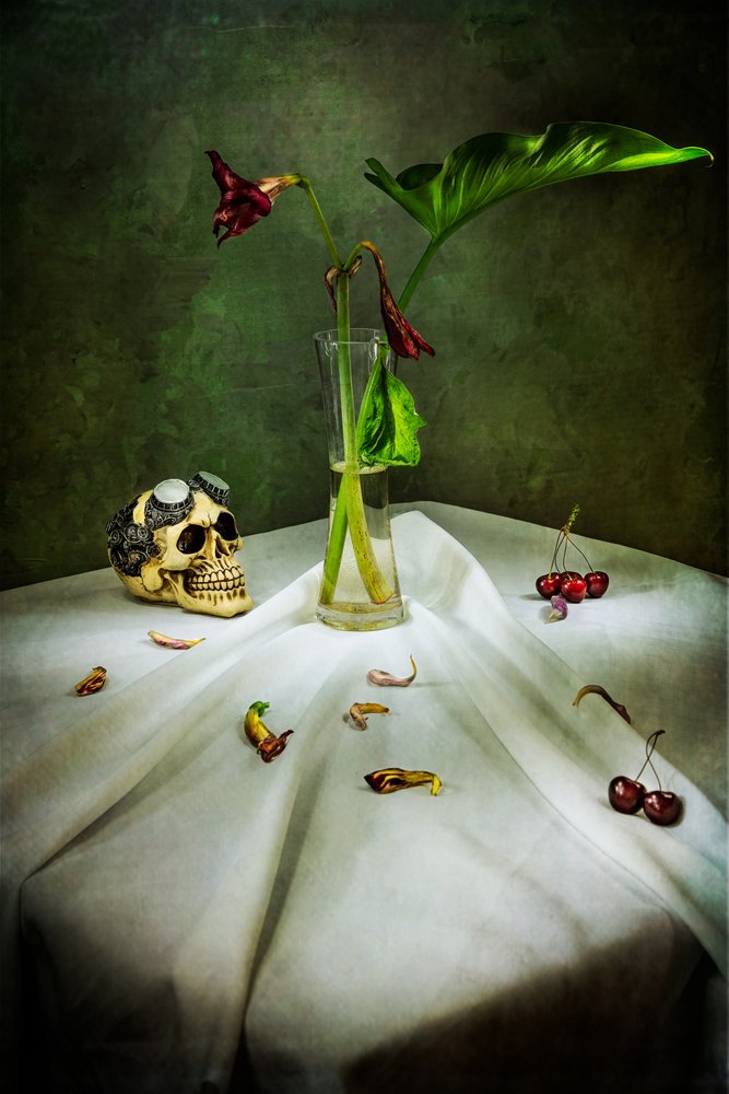 Gothic Skull Vanitas by Felice Angelino