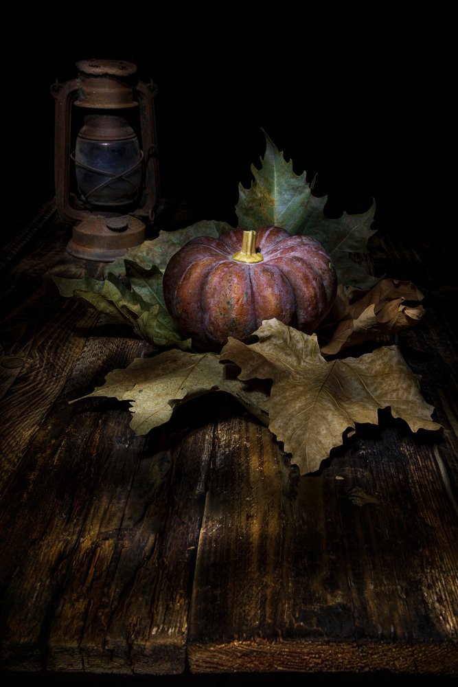 Moody Autumn Harvest by Felice Angelino