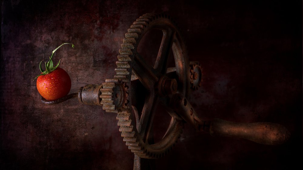 Rustic Tomato Gear by Felice Angelino