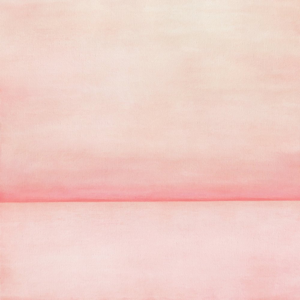 Soft Pink Horizon by Fernando Vieira