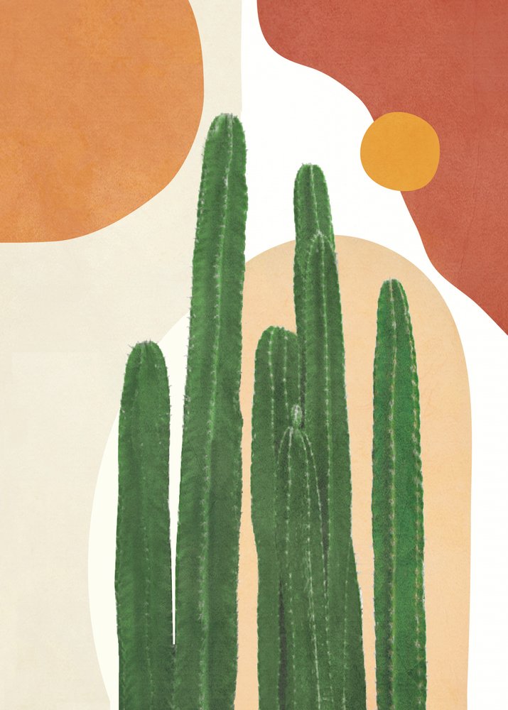 Boho Desert Cacti by Flow Line