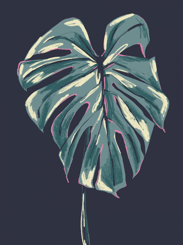 Dark Tropical Monstera Leaf by Francesco Gulina