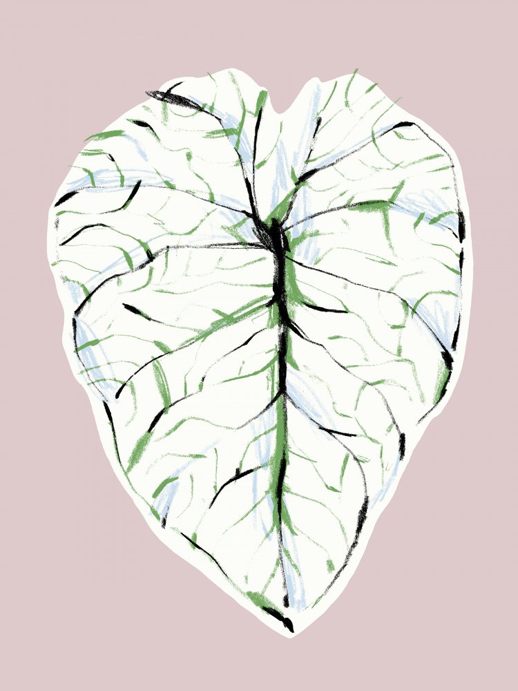 Elegant Veined Leaf by Francesco Gulina