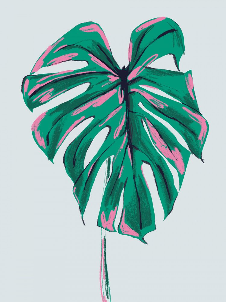 Vibrant Pink Green Monstera by Francesco Gulina