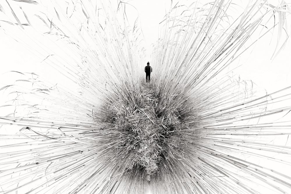 Lone Figure Amidst Reeds by Francois Casanova